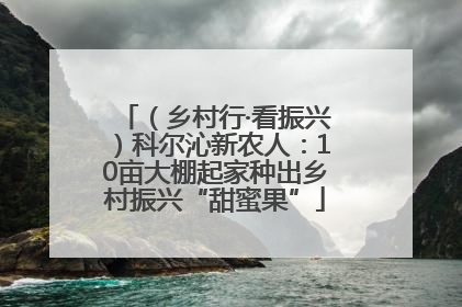 （乡村行·看振兴）科尔沁新农人：10亩大棚起家种出乡村振兴“甜蜜果”