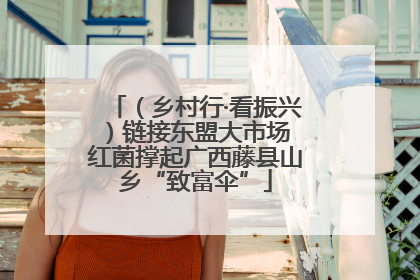 （乡村行·看振兴）链接东盟大市场 红菌撑起广西藤县山乡“致富伞”