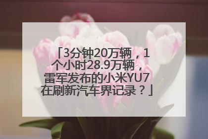 3分钟20万辆，1个小时28.9万辆，雷军发布的小米YU7在刷新汽车界记录？