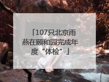 107只北京雨燕在颐和园完成年度“体检”