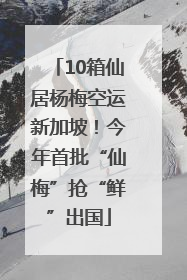 10箱仙居杨梅空运新加坡！今年首批“仙梅”抢“鲜”出国