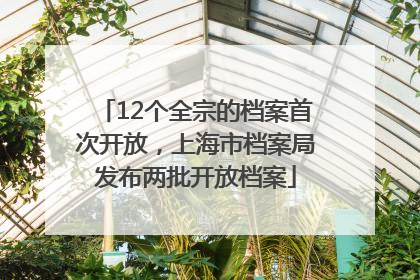 12个全宗的档案首次开放，上海市档案局发布两批开放档案