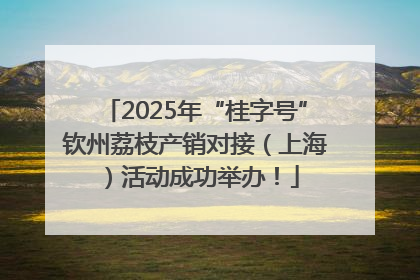 2025年“桂字号”钦州荔枝产销对接（上海）活动成功举办！