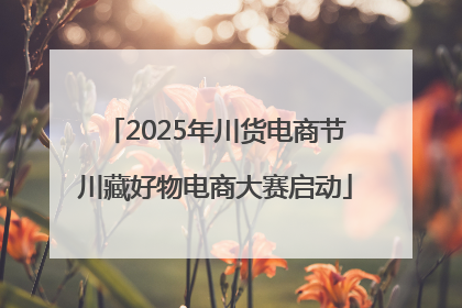 2025年川货电商节川藏好物电商大赛启动