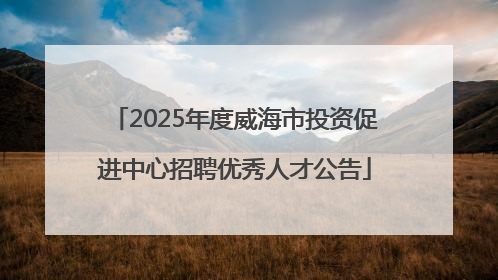 2025年度威海市投资促进中心招聘优秀人才公告