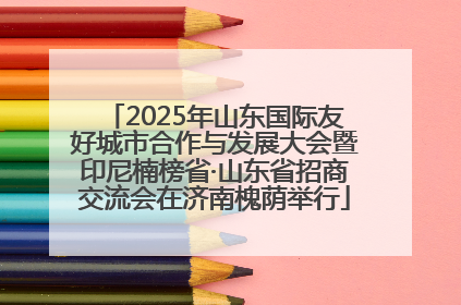 2025年山东国际友好城市合作与发展大会暨印尼楠榜省·山东省招商交流会在济南槐荫举行