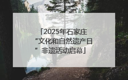 2025年石家庄“文化和自然遗产日”非遗活动启幕