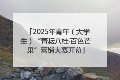 2025年青年（大学生）“青耘八桂·百色芒果”营销大赛开幕
