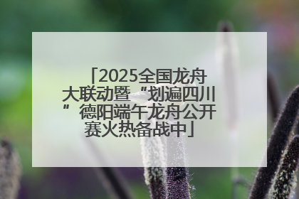 2025全国龙舟大联动暨“划遍四川”德阳端午龙舟公开赛火热备战中