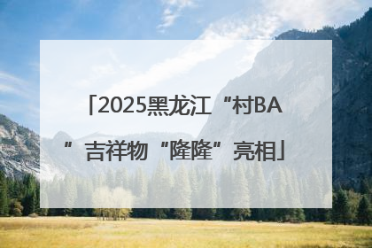 2025黑龙江“村BA”吉祥物“隆隆”亮相