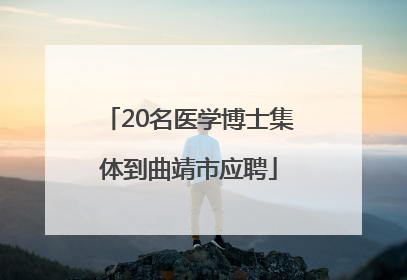 20名医学博士集体到曲靖市应聘
