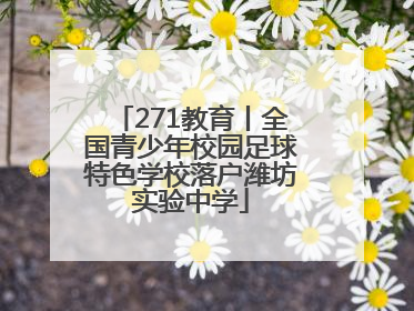 271教育丨全国青少年校园足球特色学校落户潍坊实验中学