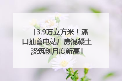 3.9万立方米！潘口抽蓄电站厂房混凝土浇筑创月度新高