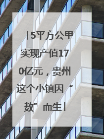 5平方公里实现产值170亿元，贵州这个小镇因“数”而生