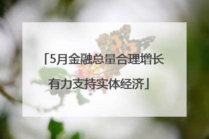 5月金融总量合理增长 有力支持实体经济