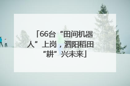66台“田间机器人”上岗，泗阳稻田“耕”兴未来