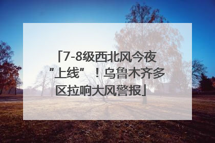7-8级西北风今夜“上线”！乌鲁木齐多区拉响大风警报
