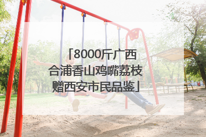 8000斤广西合浦香山鸡嘴荔枝赠西安市民品鉴