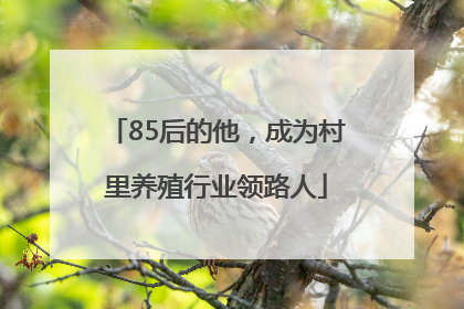 85后的他，成为村里养殖行业领路人