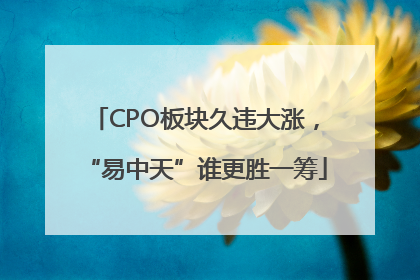 CPO板块久违大涨，“易中天”谁更胜一筹