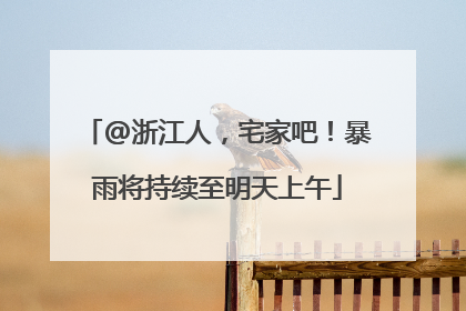 @浙江人，宅家吧！暴雨将持续至明天上午