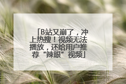 B站又崩了，冲上热搜！视频无法播放，还给用户推荐“辣眼”视频