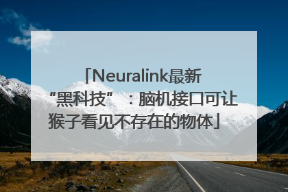 Neuralink最新“黑科技”：脑机接口可让猴子看见不存在的物体