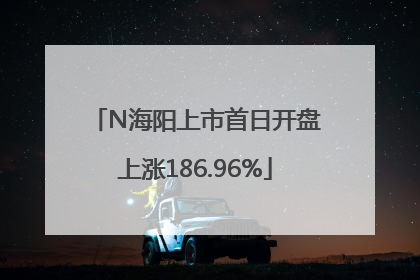 N海阳上市首日开盘上涨186.96%