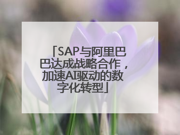 SAP与阿里巴巴达成战略合作，加速AI驱动的数字化转型
