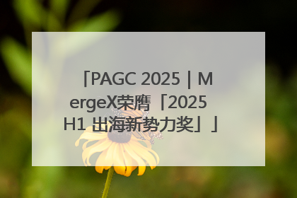 PAGC 2025｜MergeX荣膺「2025 H1 出海新势力奖」