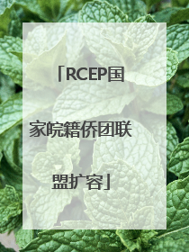 RCEP国家皖籍侨团联盟扩容