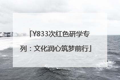 Y833次红色研学专列：文化润心筑梦前行